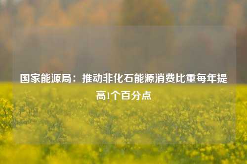 国家能源局：推动非化石能源消费比重每年提高1个百分点