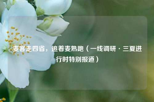 麦客走四省，追着麦熟跑（一线调研·三夏进行时特别报道）