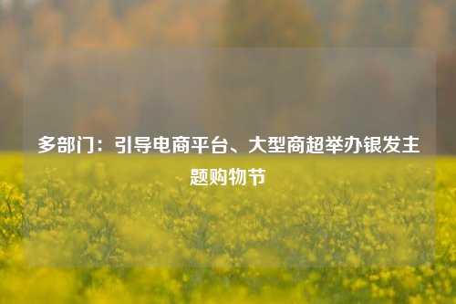 多部门：引导电商平台、大型商超举办银发主题购物节