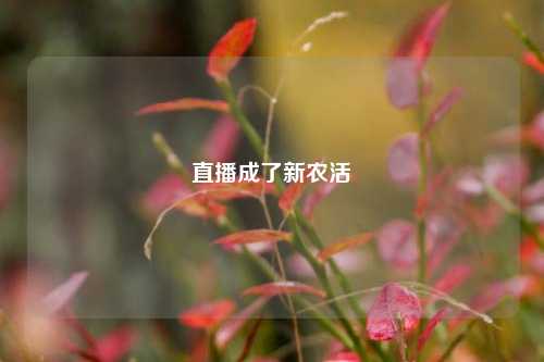 直播成了新农活