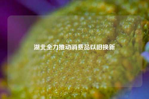 湖北全力推动消费品以旧换新