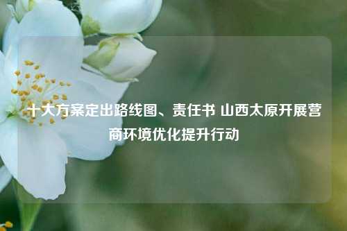 十大方案定出路线图、责任书 山西太原开展营商环境优化提升行动