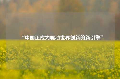 “中国正成为驱动世界创新的新引擎”