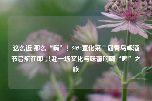 这么近 那么“嗨”！2024宣化第二届青岛啤酒节启航在即 共赴一场文化与味蕾的嗨“啤”之旅