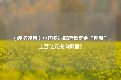 （经济观察）中国多地政府母基金“迎新”，上百亿元投向哪里？