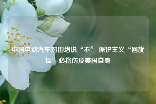 中国电动汽车对围堵说“不” 保护主义“回旋镖”必将伤及美国自身