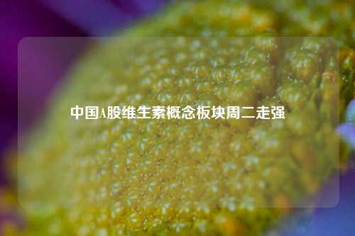中国A股维生素概念板块周二走强