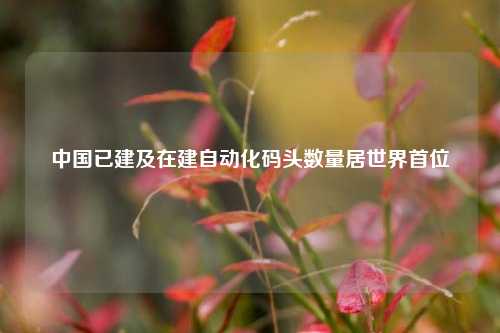 中国已建及在建自动化码头数量居世界首位