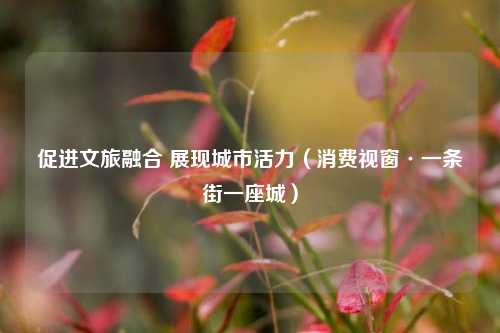 促进文旅融合 展现城市活力（消费视窗·一条街一座城）