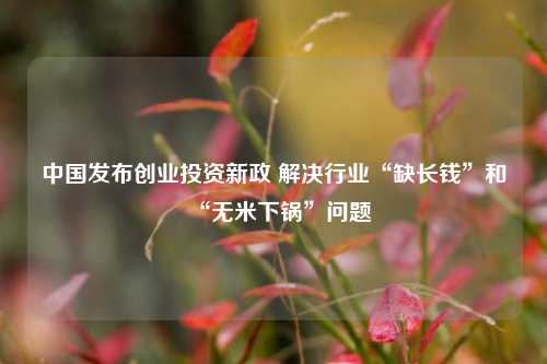 中国发布创业投资新政 解决行业“缺长钱”和“无米下锅”问题