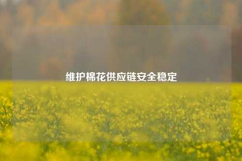 维护棉花供应链安全稳定