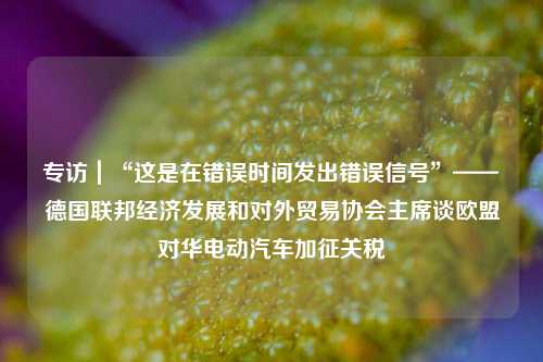 专访｜“这是在错误时间发出错误信号”——德国联邦经济发展和对外贸易协会主席谈欧盟对华电动汽车加征关税