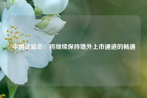 中国证监会：将继续保持境外上市通道的畅通
