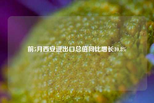 前5月西安进出口总值同比增长10.8%