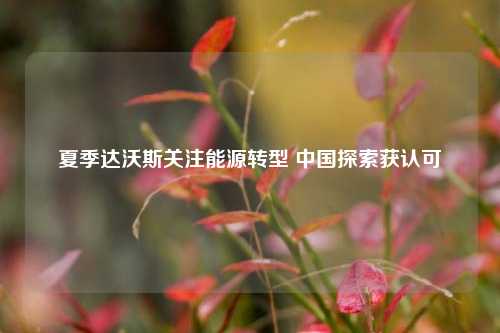 夏季达沃斯关注能源转型 中国探索获认可