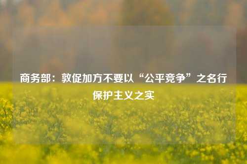 商务部：敦促加方不要以“公平竞争”之名行保护主义之实