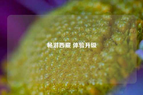 畅游西藏 体验升级