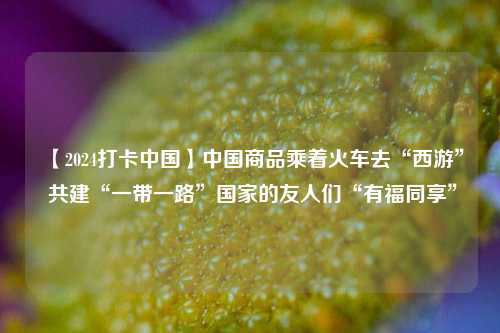 【2024打卡中国】中国商品乘着火车去“西游” 共建“一带一路”国家的友人们“有福同享”