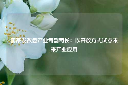 国家发改委产业司副司长：以开放方式试点未来产业应用