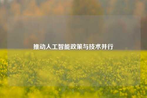 推动人工智能政策与技术并行