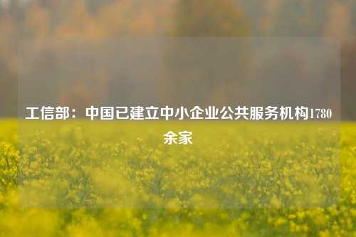 工信部：中国已建立中小企业公共服务机构1780余家