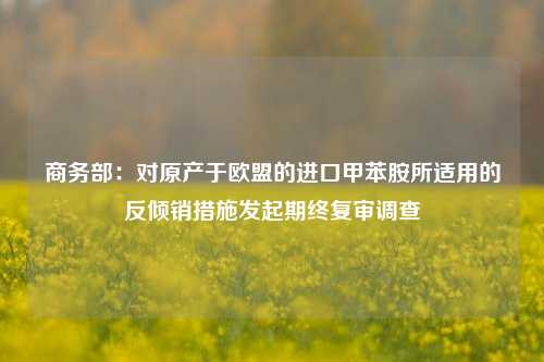 商务部：对原产于欧盟的进口甲苯胺所适用的反倾销措施发起期终复审调查