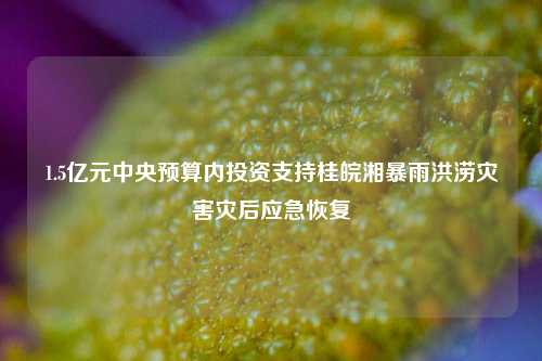 1.5亿元中央预算内投资支持桂皖湘暴雨洪涝灾害灾后应急恢复