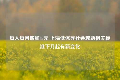每人每月增加85元 上海低保等社会救助相关标准下月起有新变化
