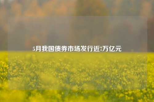 5月我国债券市场发行近7万亿元