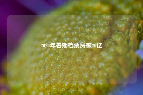 2024年暑期档票房破20亿