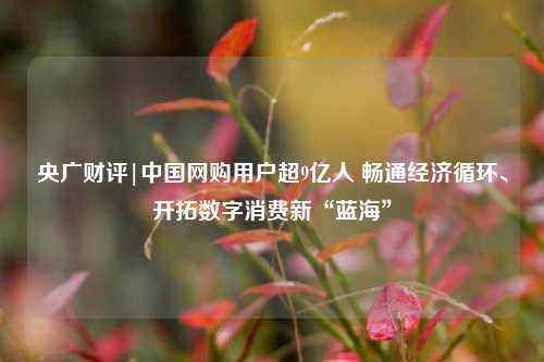 央广财评|中国网购用户超9亿人 畅通经济循环、开拓数字消费新“蓝海”