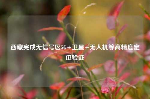 西藏完成无信号区5G+卫星+无人机等高精度定位验证