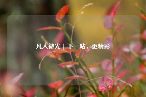 凡人微光 | 下一站，更精彩