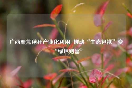 广西聚焦秸秆产业化利用  推动“生态包袱”变“绿色财富”
