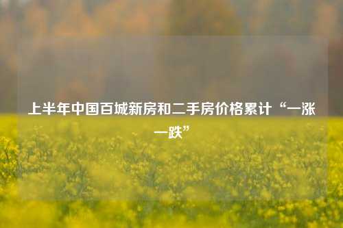 上半年中国百城新房和二手房价格累计“一涨一跌”