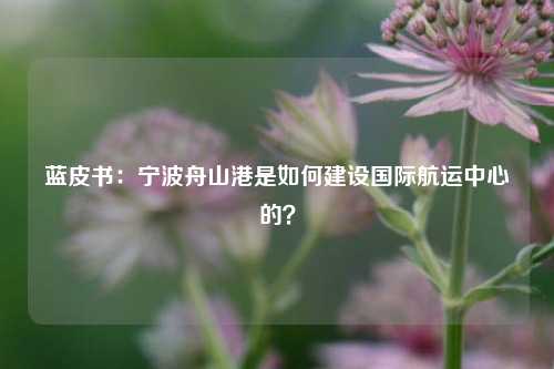 蓝皮书：宁波舟山港是如何建设国际航运中心的？