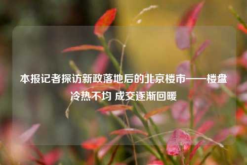 本报记者探访新政落地后的北京楼市——楼盘冷热不均 成交逐渐回暖