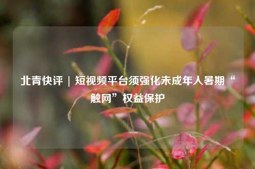 北青快评 | 短视频平台须强化未成年人暑期“触网”权益保护