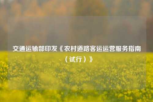 交通运输部印发《农村道路客运运营服务指南（试行）》