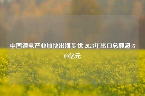 中国锂电产业加快出海步伐 2023年出口总额超4500亿元
