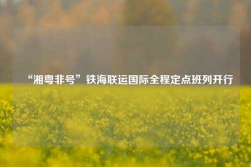 “湘粤非号”铁海联运国际全程定点班列开行