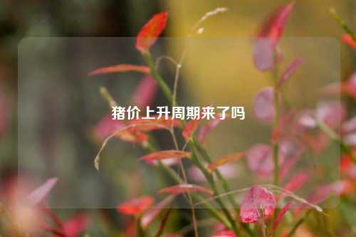 猪价上升周期来了吗