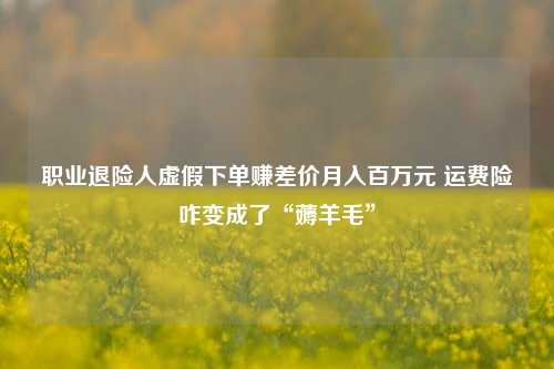 职业退险人虚假下单赚差价月入百万元 运费险咋变成了“薅羊毛”