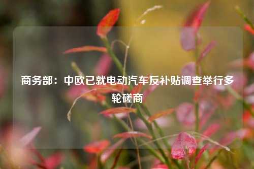 商务部：中欧已就电动汽车反补贴调查举行多轮磋商