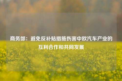 商务部：避免反补贴措施伤害中欧汽车产业的互利合作和共同发展