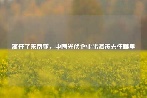 离开了东南亚，中国光伏企业出海该去往哪里