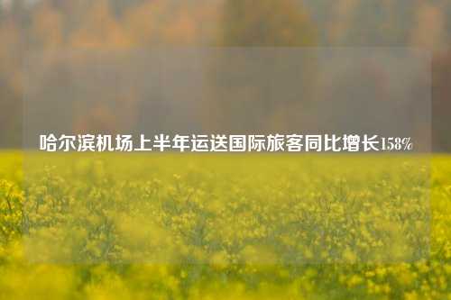 哈尔滨机场上半年运送国际旅客同比增长158%