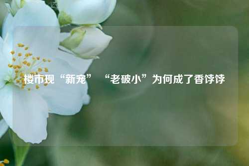 楼市现“新宠” “老破小”为何成了香饽饽