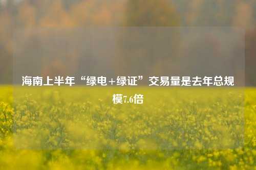海南上半年“绿电+绿证”交易量是去年总规模7.6倍