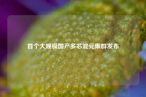 首个大规模国产多芯混元集群发布